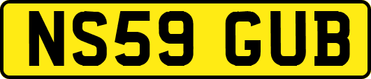 NS59GUB