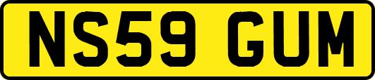NS59GUM