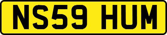 NS59HUM