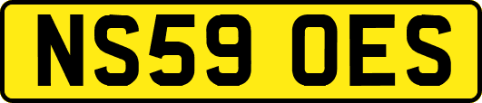 NS59OES