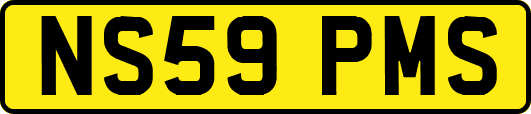 NS59PMS