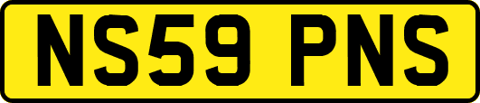 NS59PNS