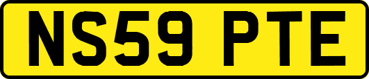 NS59PTE