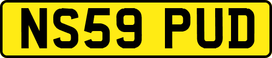 NS59PUD