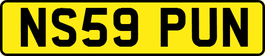 NS59PUN