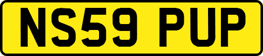 NS59PUP