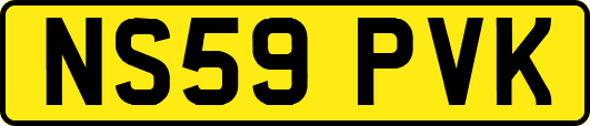 NS59PVK