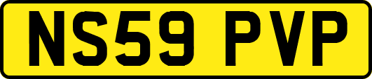 NS59PVP