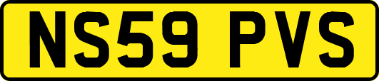 NS59PVS