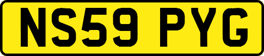NS59PYG