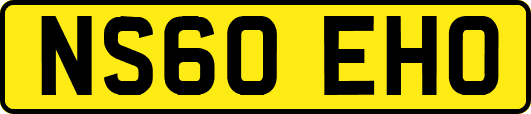 NS60EHO