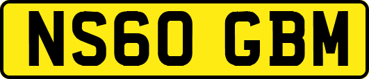 NS60GBM