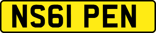 NS61PEN