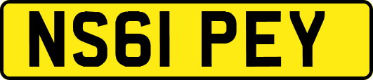 NS61PEY