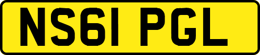 NS61PGL
