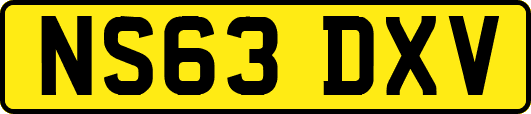 NS63DXV