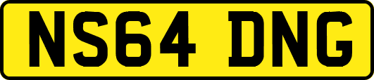 NS64DNG