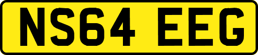 NS64EEG