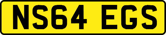 NS64EGS