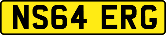 NS64ERG