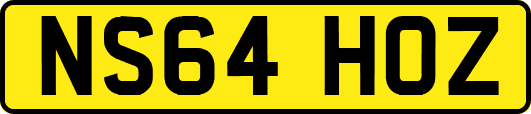 NS64HOZ