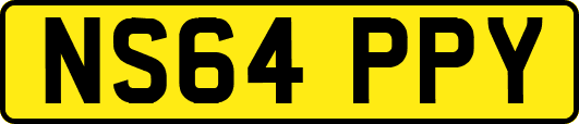 NS64PPY