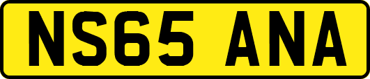 NS65ANA