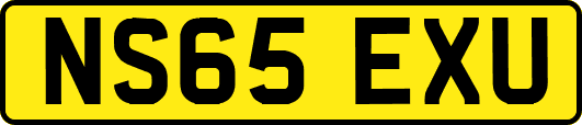 NS65EXU