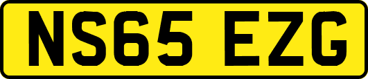 NS65EZG