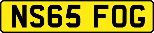 NS65FOG