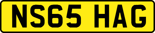 NS65HAG