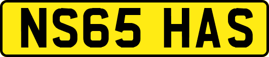NS65HAS