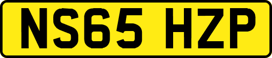 NS65HZP