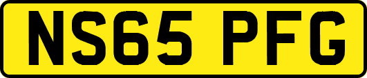 NS65PFG