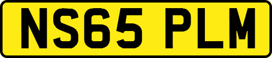 NS65PLM