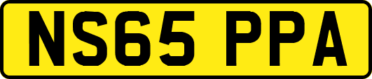 NS65PPA