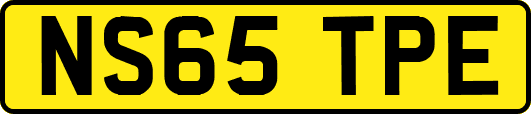 NS65TPE
