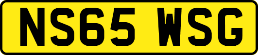 NS65WSG