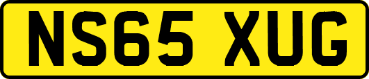 NS65XUG