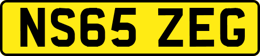 NS65ZEG
