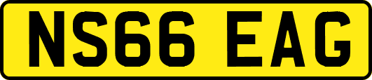 NS66EAG