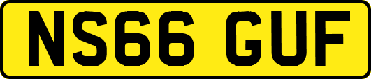 NS66GUF