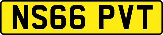 NS66PVT