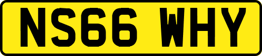NS66WHY