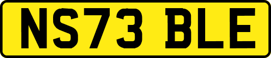 NS73BLE