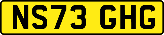 NS73GHG
