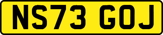 NS73GOJ