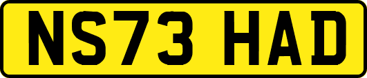 NS73HAD