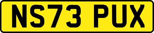 NS73PUX