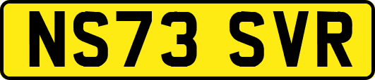 NS73SVR